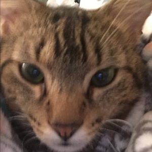 Meet your Posher, Uzma